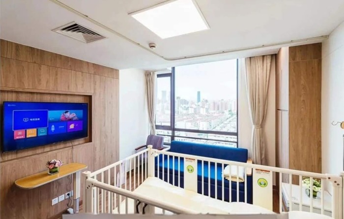 Xinhua International Medical Services 3